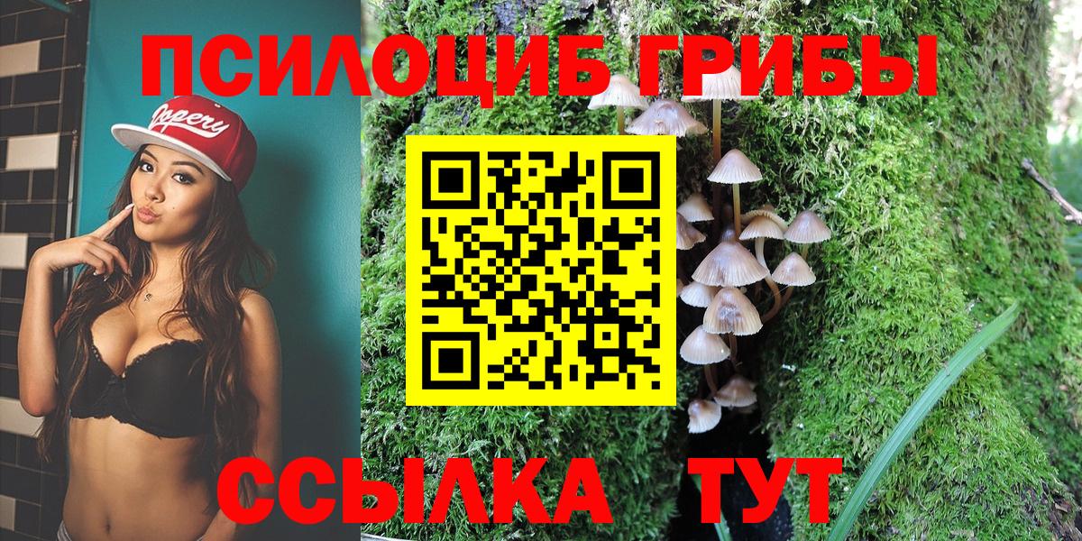 Галлюциногенные грибы Psilocybe Иваново