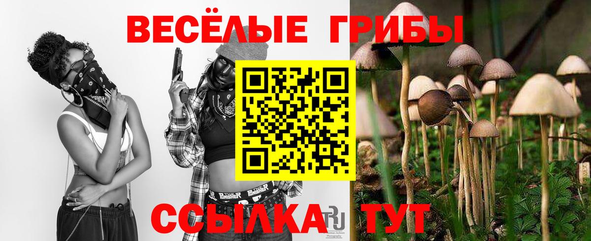 закладки  Галлюциногенные грибы Cubensis  Иваново  Вход с VPN  Псилоцибиновые грибы Psilocybe 